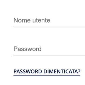 marche-2 Icona Login
